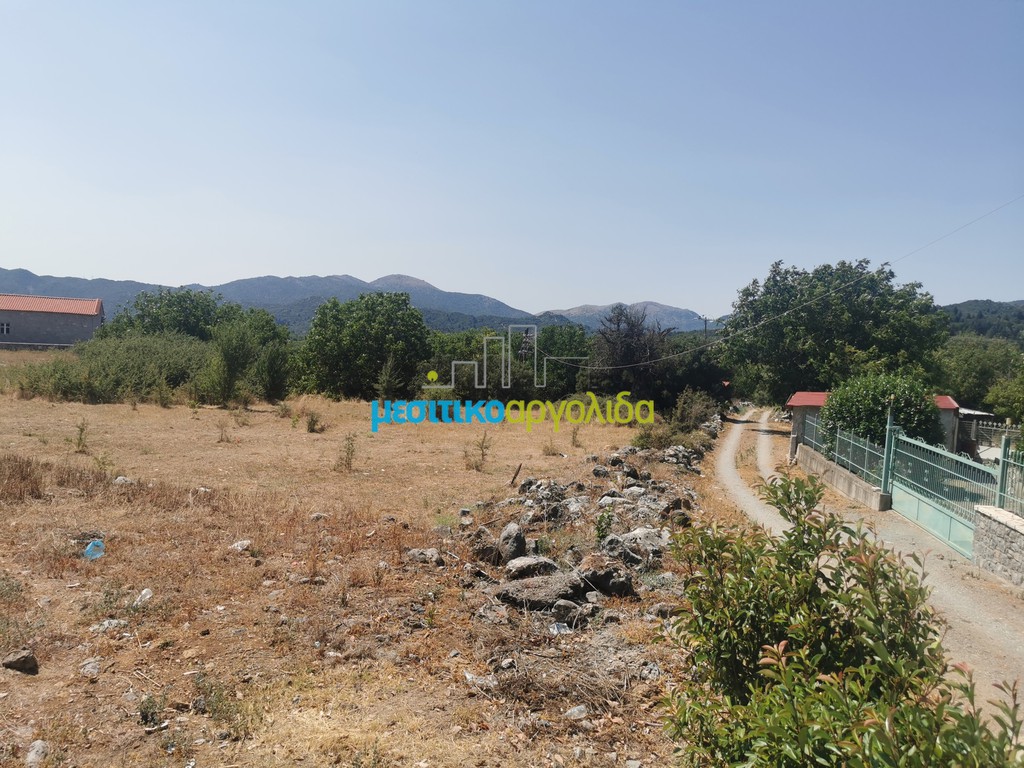 Οικόπεδο 1.697,19 τ.μ. προς πώληση, Δαβιά