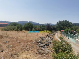 Οικόπεδο 1.697,19 τ.μ. για πώληση, Αρκαδία, Φάλανθος-thumb-2