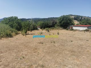 Οικόπεδο 1.697,19 τ.μ. για πώληση, Αρκαδία, Φάλανθος-thumb-17