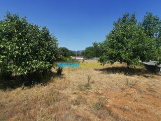 Οικόπεδο 1.697,19 τ.μ. για πώληση, Αρκαδία, Φάλανθος-thumb-14