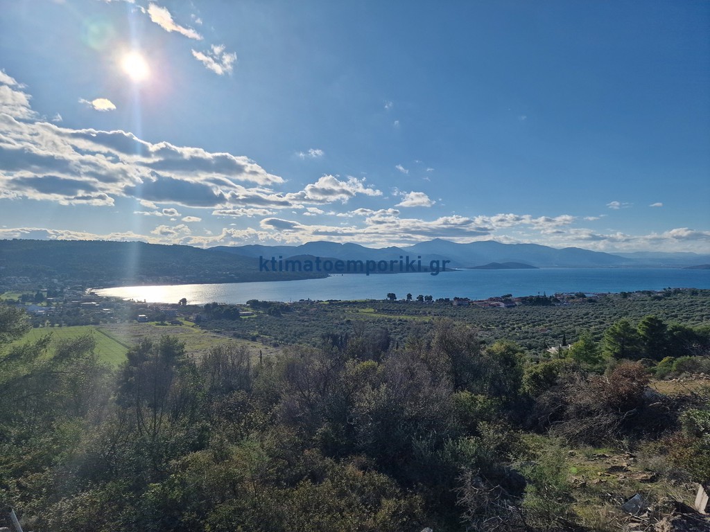 Οικόπεδο 1.009 τ.μ. προς πώληση, Θεολόγος Μαλεσίνας