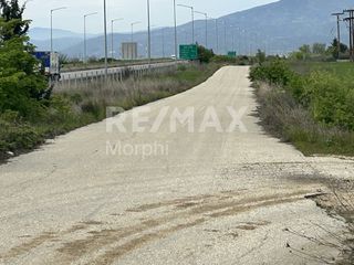 Αγροτεμάχια 14.000 τ.μ. για πώληση, Ν. Ροδόπης, Κομοτηνή-thumb-6