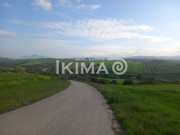 Αγροτεμάχια 6.500 τ.μ. για πώληση, Θεσσαλονίκη - Περιφ/Κοί Δήμοι, Θέρμη