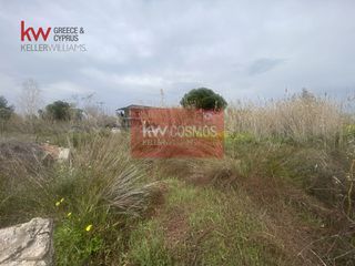 Αγροτεμάχια 300 τ.μ. για πώληση, Εύβοια, Ληλάντιο-thumb-7