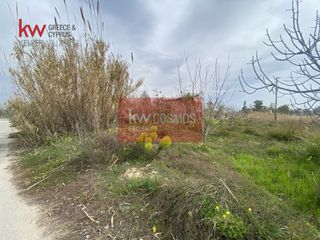 Αγροτεμάχια 300 τ.μ. για πώληση, Εύβοια, Ληλάντιο-thumb-5