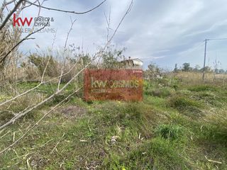 Αγροτεμάχια 300 τ.μ. για πώληση, Εύβοια, Ληλάντιο-thumb-4