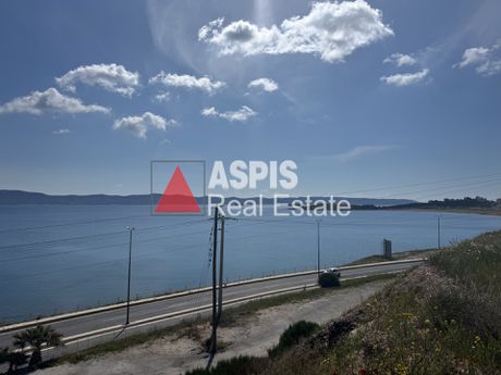 Οικόπεδο 40.000τ.μ. για πώληση-Λαύριο
