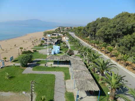 Οικόπεδο 36.000τ.μ. για πώληση-Μεσσήνη