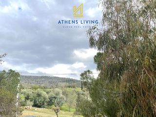 Apartment 150 sqm for sale
