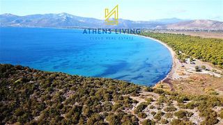 Αγροτεμάχια 43.000 τ.μ. πρός πώληση