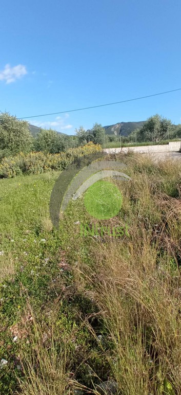 Οικόπεδο 4.000 τ.μ. για πώληση, Αχαΐα, Μεσσατίδα