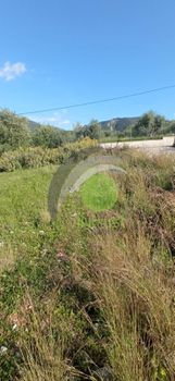 Οικόπεδο 4.000 τ.μ. για πώληση
