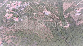 Οικόπεδο 9.537,34 τ.μ. για πώληση, Μεσσηνία, Λεύκτρος-thumb-23