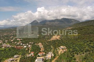 Οικόπεδο 9.537,34 τ.μ. για πώληση, Μεσσηνία, Λεύκτρος-thumb-25