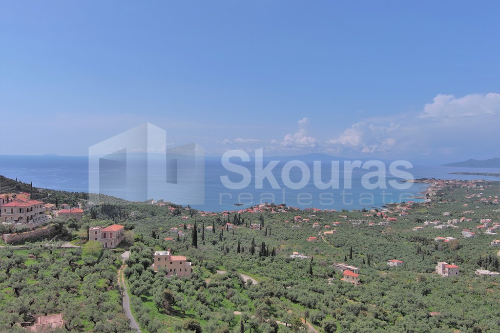 Οικόπεδο 9.537,34 τ.μ. προς πώληση, Λεύκτρος