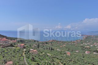 Οικόπεδο 9.537,34 τ.μ. για πώληση, Μεσσηνία, Λεύκτρος-thumb-2