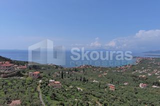 Οικόπεδο 9.537,34 τ.μ. για πώληση, Μεσσηνία, Λεύκτρος-thumb-14