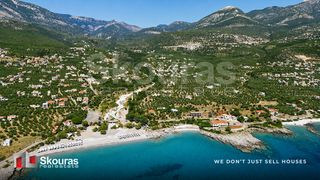 Οικόπεδο 9.537,34 τ.μ. για πώληση, Μεσσηνία, Λεύκτρος-thumb-28