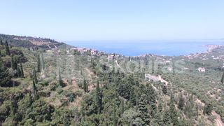 Οικόπεδο 9.537,34 τ.μ. για πώληση, Μεσσηνία, Λεύκτρος-thumb-16