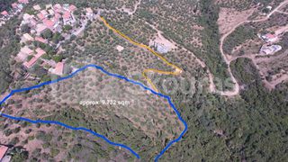 Οικόπεδο 9.537,34 τ.μ. για πώληση, Μεσσηνία, Λεύκτρος-thumb-19