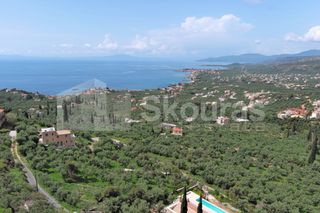 Οικόπεδο 9.537,34 τ.μ. για πώληση, Μεσσηνία, Λεύκτρος-thumb-12