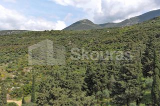 Οικόπεδο 9.537,34 τ.μ. για πώληση, Μεσσηνία, Λεύκτρος-thumb-24