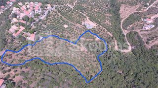 Οικόπεδο 9.537,34 τ.μ. για πώληση, Μεσσηνία, Λεύκτρος-thumb-20