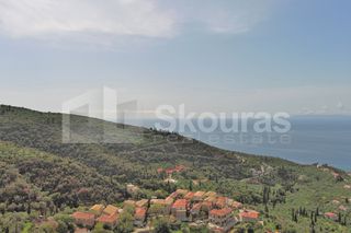 Οικόπεδο 9.537,34 τ.μ. για πώληση, Μεσσηνία, Λεύκτρος-thumb-18