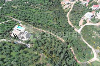 Οικόπεδο 9.537,34 τ.μ. για πώληση, Μεσσηνία, Λεύκτρος-thumb-26
