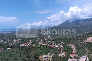 Οικόπεδο 9.537,34 τ.μ. για πώληση, Μεσσηνία, Λεύκτρος-thumb-13