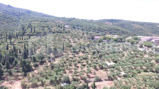 Οικόπεδο 9.537,34 τ.μ. για πώληση, Μεσσηνία, Λεύκτρος-thumb-7
