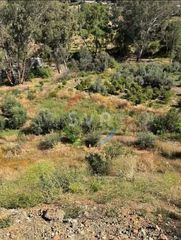Αγροτεμάχια 7.287 τ.μ. προς πώληση, Αρακαπάς-thumb-1