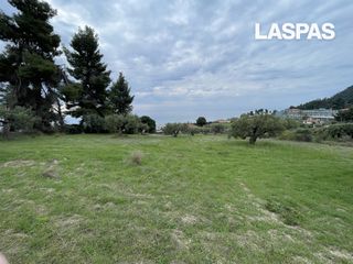 Αγροτεμάχια 4.010 τ.μ. για πώληση