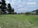 Αγροτεμάχια 4.010τ.μ. για πώληση-Κασσάνδρα