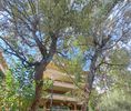 Apartment 130sqm for sale-Cholargos