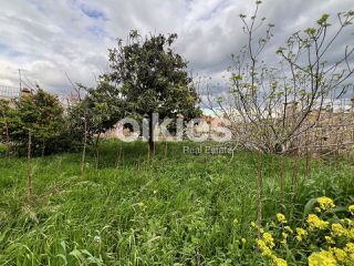 Μονοκατοικία 185 τ.μ. για πώληση, Ν. Χίου, Χίος-thumb-15