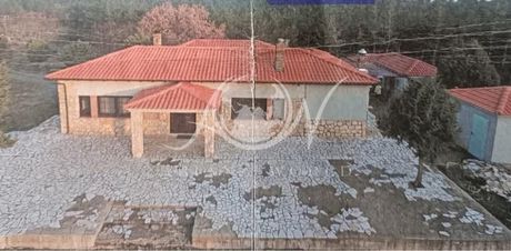 Αγροτεμάχια 15.000τ.μ. για πώληση-Αλεξανδρούπολη » Συκορράχη