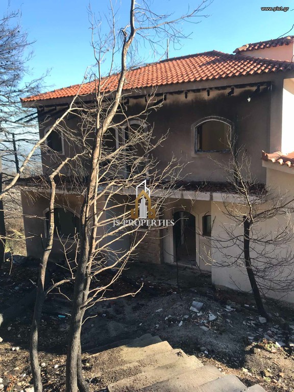 Μονοκατοικία 480 τ.μ. προς πώληση, Αγία Τριάδα Αφιδνών