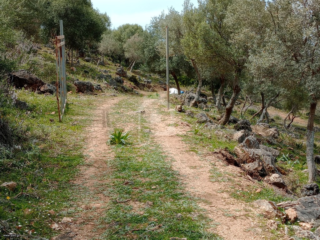 Αγροτεμάχια 11.200 τ.μ. πρός πώληση, Θεσπρωτία, Σύβοτα