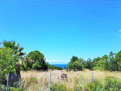 Οικόπεδο 2.000 τ.μ. για πώληση
