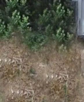 Land plot 190sqm for sale-Elliniko » Kato Sourmena