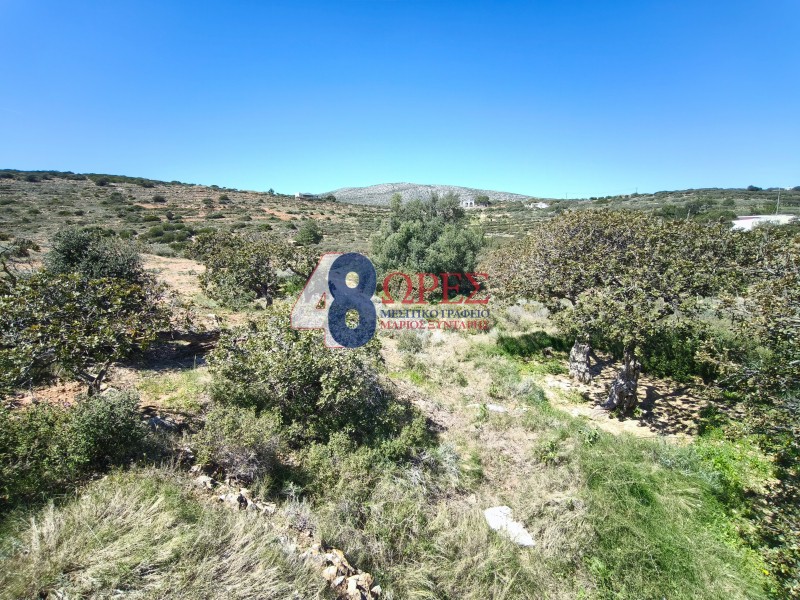 Οικόπεδο 14.741 τ.μ. προς πώληση, Μαστιχοχώρια