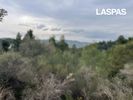Αγροτεμάχια 2.427τ.μ. για πώληση-Κασσάνδρα