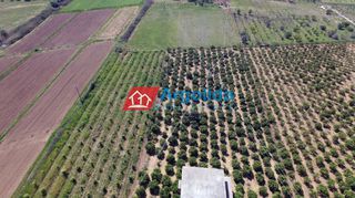 Μονοκατοικία 6.550 τ.μ. προς πώληση, Κέντρο Ναυπλίου-thumb-1