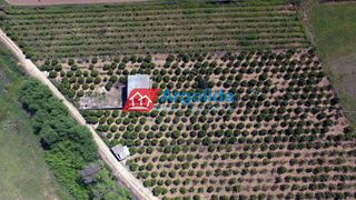 Μονοκατοικία 6.550 τ.μ. προς πώληση, Κέντρο Ναυπλίου-thumb-19