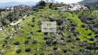 Οικόπεδο 4.010 τ.μ. για πώληση, Ν. Κέρκυρας, Κέρκυρα-thumb-11