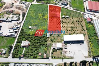 Αγροτεμάχια 4.244 τ.μ. προς πώληση, Αριά Ναυπλίου-thumb-5