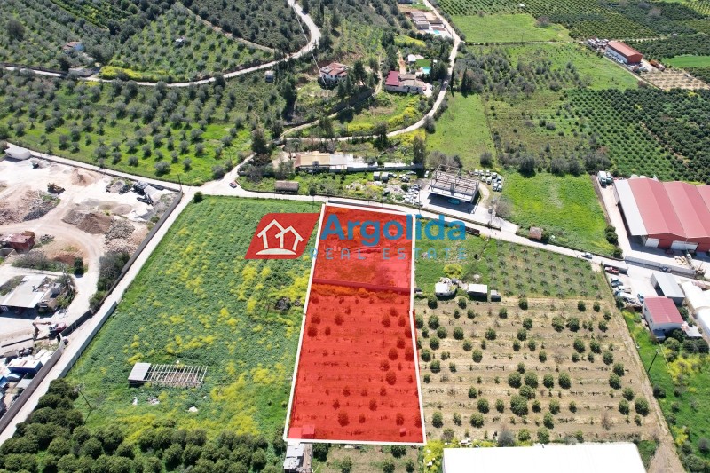 Αγροτεμάχια 4.244 τ.μ. προς πώληση, Αριά Ναυπλίου