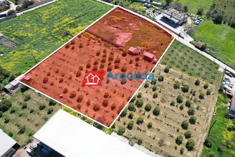 Αγροτεμάχια 4.244 τ.μ. προς πώληση, Αριά Ναυπλίου