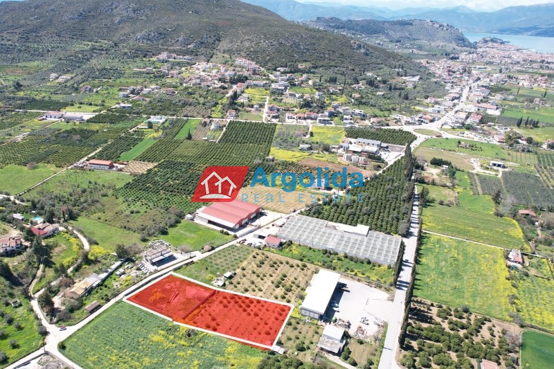 Αγροτεμάχια 4.244 τ.μ. προς πώληση, Αριά Ναυπλίου